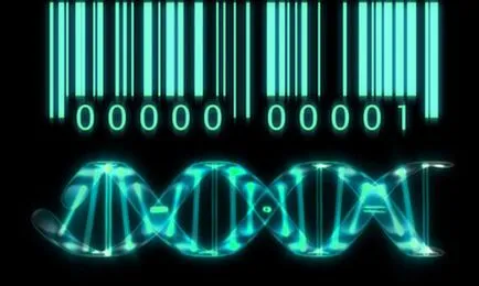 ADN-ul descifrarea lumea a ADN-ului - Biotehnologie Viitorul