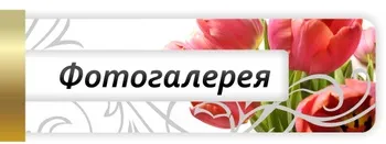 Принтери для нігтів нові можливості в сфері краси, цифровий дизайн нігтів - нове слово в (нігтів) Принтери для нігтів нові можливості в сфері краси, цифровий дизайн нігтів - нове слово в