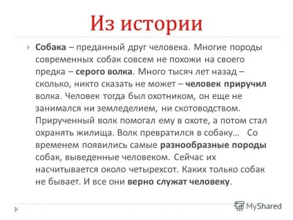 Презентація на тему собака - друг людини підготувала Новосьолова м (петербург розповідь про собаку. Про те) Презентація на тему собака - друг людини підготувала Новосьолова м