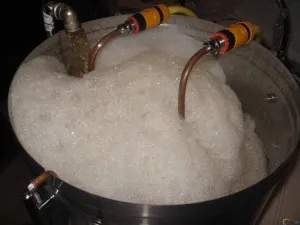 Acasă Brewery ce să aleagă