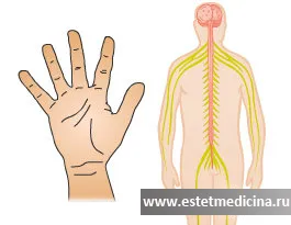 Erytrophobia okoz, kezelések, egy online folyóirat