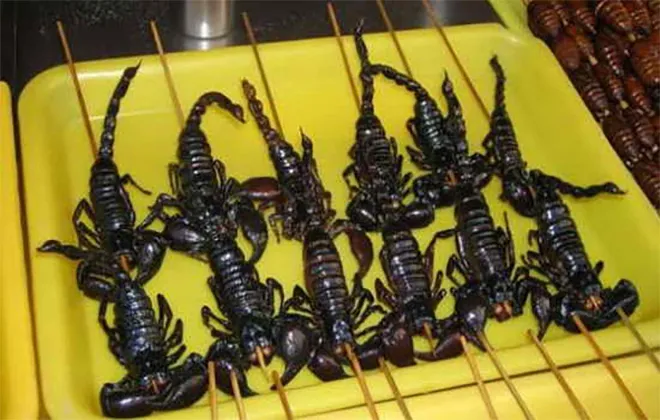 Факти за скорпиони интересен и необичаен