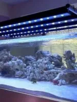 Aquarium Background