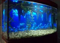 Aquarium Background