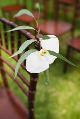 Detalii Florarii nunta orhidee