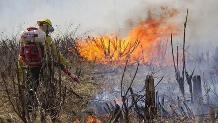 PGO füst eloszlott át a kincstár - egy ország - Kommerszant