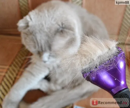 Furminators FURminator - «csoda fésű teszt - plüss - macskák (skót, brit)