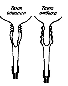 24. fejezet gépesített tehénfejés