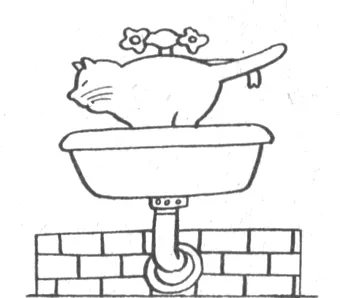 Élelmiszer-higiéniai macska egy helyet az élelmiszer, gondoskodás a csészék, WC higiénia macskáknak hozzászoktatni