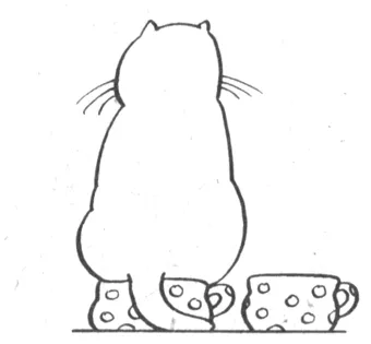 Élelmiszer-higiéniai macska egy helyet az élelmiszer, gondoskodás a csészék, WC higiénia macskáknak hozzászoktatni