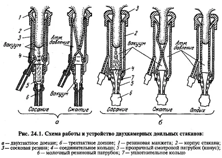 24. fejezet gépesített tehénfejés