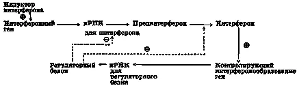 индуктори на интерферон