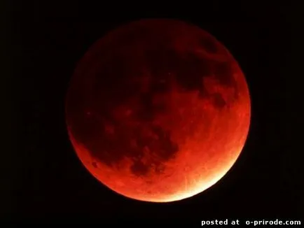 fapte interesante despre eclipsa - 15 poze - poze - fotografii lumii naturale
