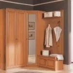 Передпокій з дерева - 50 фото хитрощів сучасного дизайну (сучасного) Передпокій з дерева - 50 фото хитрощів сучасного дизайну
