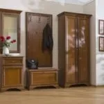 Передпокій з дерева - 50 фото хитрощів сучасного дизайну (фото) Передпокій з дерева - 50 фото хитрощів сучасного дизайну