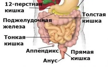 Наводимо себе в порядок до весни як очистити організм (масла варену картоплю) Наводимо себе в порядок до весни як очистити організм