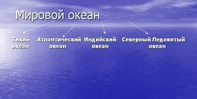Природа, рослини і тварини морів і океанів