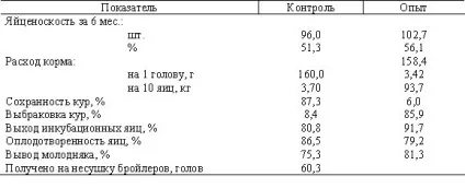 Примусова линька у курей, головний фермерський портал - все про бізнес в сільському господарстві (примусова) Примусова линька у курей, головний фермерський портал - все про бізнес в сільському господарстві