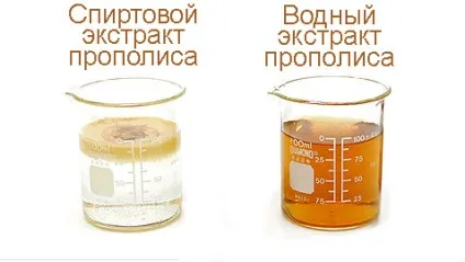 Прополіс для горла застосування полоскань при ангіні і тонзиліті (застосування) Прополіс для горла застосування полоскань при ангіні і тонзиліті