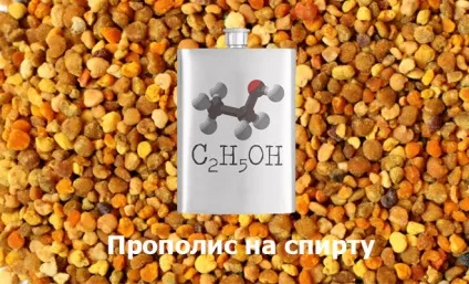 Прополіс допомагає вилікуватися від кашлю (прополіс) Прополіс допомагає вилікуватися від кашлю