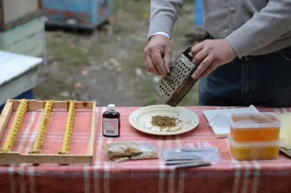 Прополіс для горла застосування полоскань при ангіні і тонзиліті (горла) Прополіс для горла застосування полоскань при ангіні і тонзиліті
