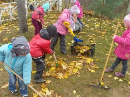 Проект «вікно в природу»