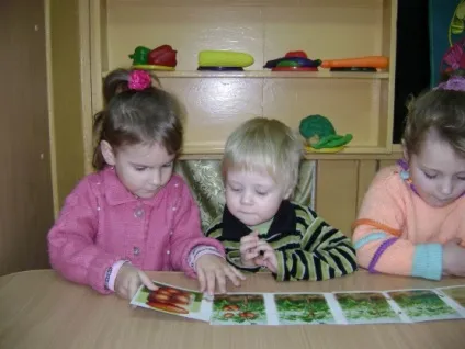 Проект «вікно в природу»