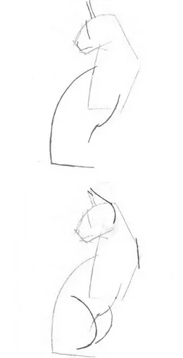 Cum de a desena o pisică, desen în Photoshop