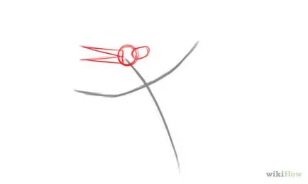 Cum de a desena un pterodactil etape creion