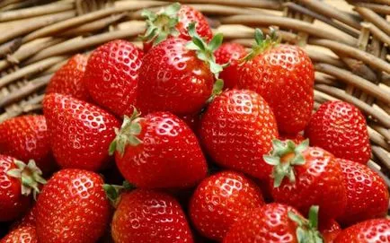 Как да се организира грижи, за да получите добра реколта от ягоди