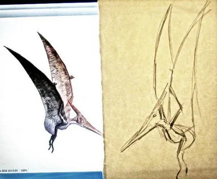 Cum de a desena un pterodactil 1