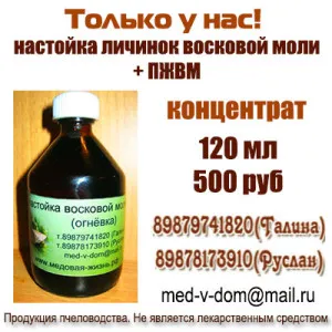 Як приймати воскову міль (приймати) Як приймати воскову міль