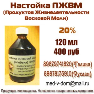 Як приймати воскову міль (личинок воскової молі) Як приймати воскову міль