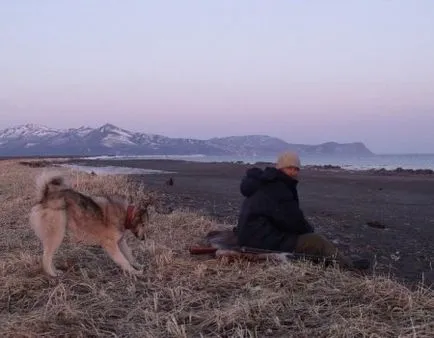 Cum de a preda un Husky la foc