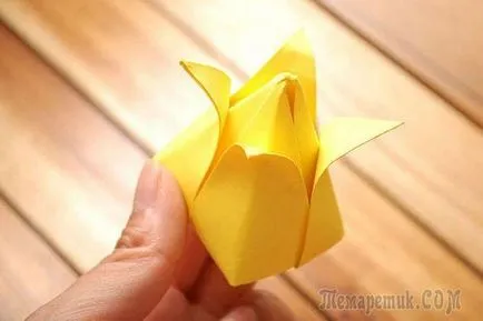 Как да си направим хартия лале хартиени лалета с произтича