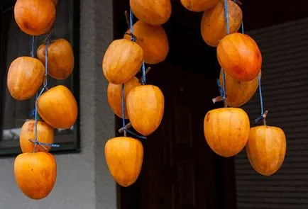 Hogyan száradni datolyaszilva otthon van, értékelje módszereit és formáit szárítás persimmons télen