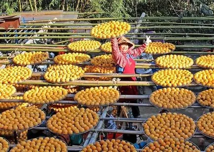 Hogyan száradni datolyaszilva otthon van, értékelje módszereit és formáit szárítás persimmons télen