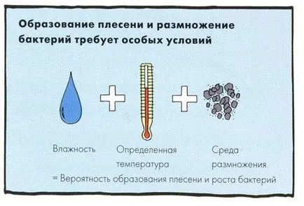 Как да премахнете мухъл в банята между плочките на стената