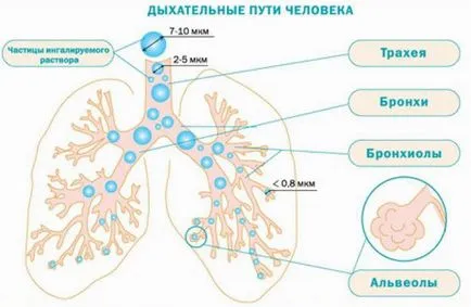 Как да изберем един инхалатор постави рекорд направо - аз