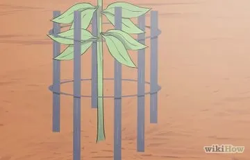 Як зберігати дрова