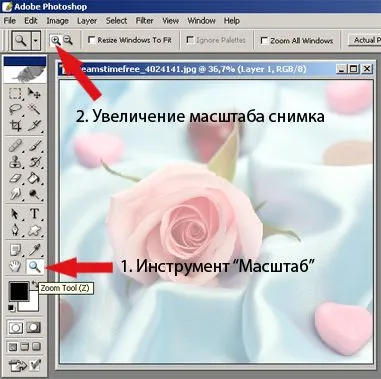 Як замінити одну особу на інше в photoshop - настільна книга нареченої