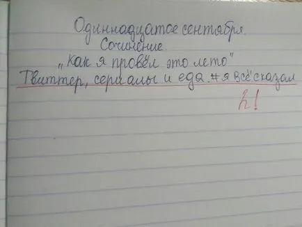 Cum mi-am petrecut vara mea, vara Netlore, eseuri, școală, elevi