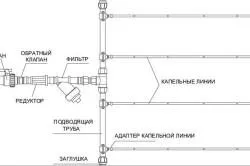 Planul de instalare și de irigare prin picurare