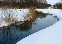 Как да се предпазите краката си от влагата в зимен риболов »