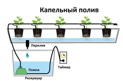 Капково напояване в хидропонно отглеждане на растения