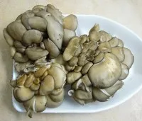 Cartofi cu ciuperci în rețetă multivarka