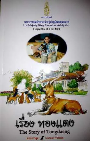 Khun прашки Daeng, възлюбени куче на Неговото величие, asiasabai