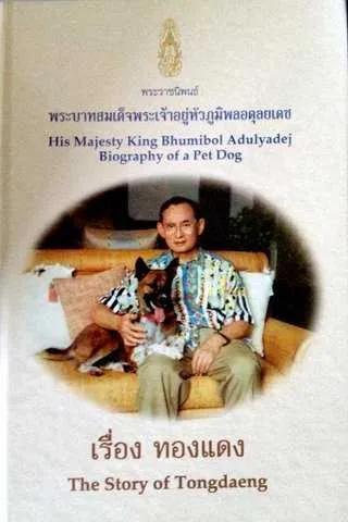 Khun Thong Daeng, câine iubit al Maiestății sale, asiasabai