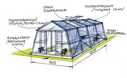 Strawberry în timpul anului cu efect de seră ca o afacere