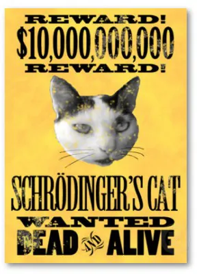 Schroedinger experiment pisica pisica lui Schrödinger, pisica paradox al Schrödinger, sinucidere cuantică